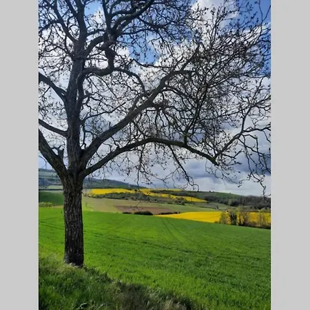 La Dilettante, Petite Maison Renovee, Avec Jardin Vertaizon