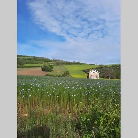 La Dilettante, Petite Maison Renovee, Avec Jardin Holiday home *